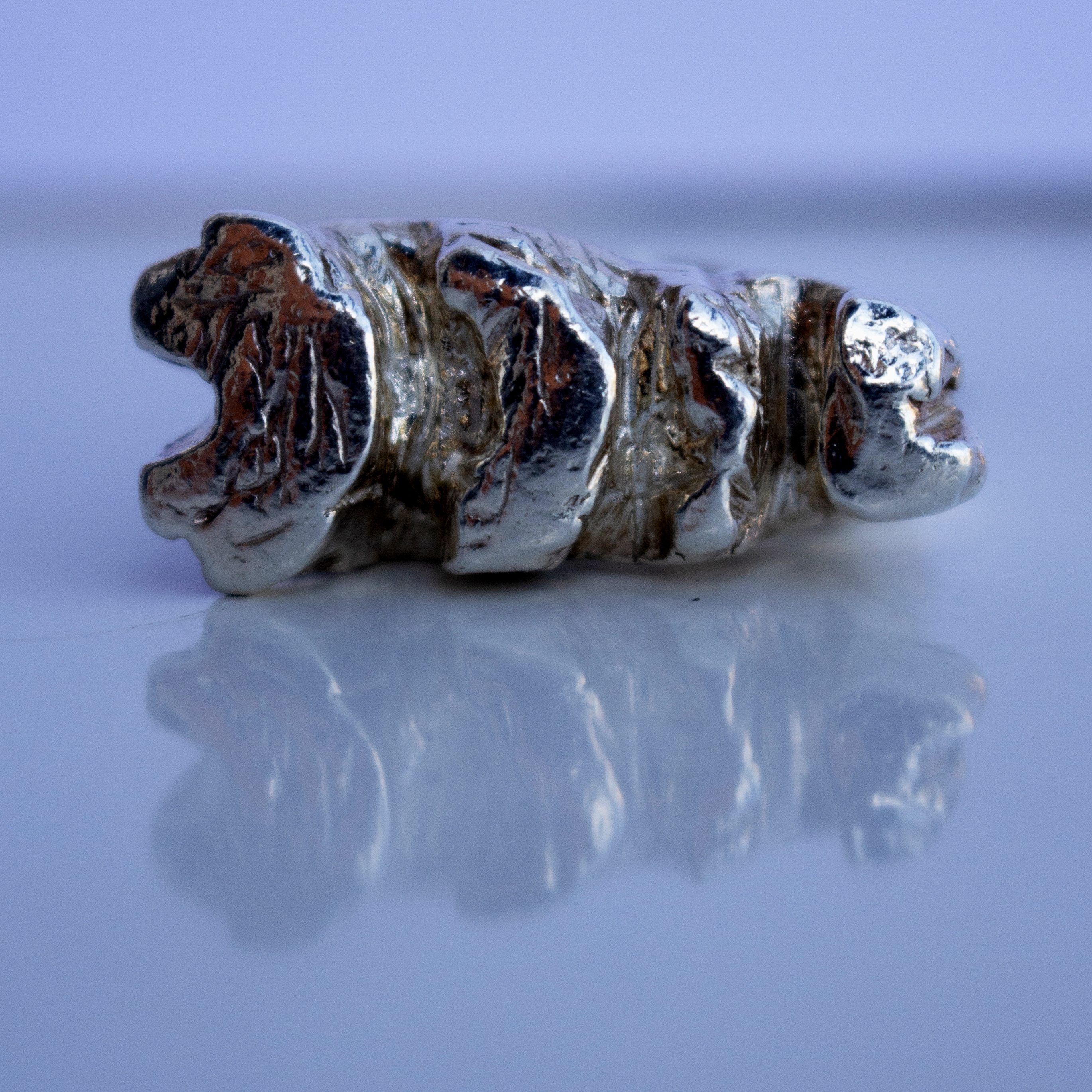 Vertebrae 9 ring