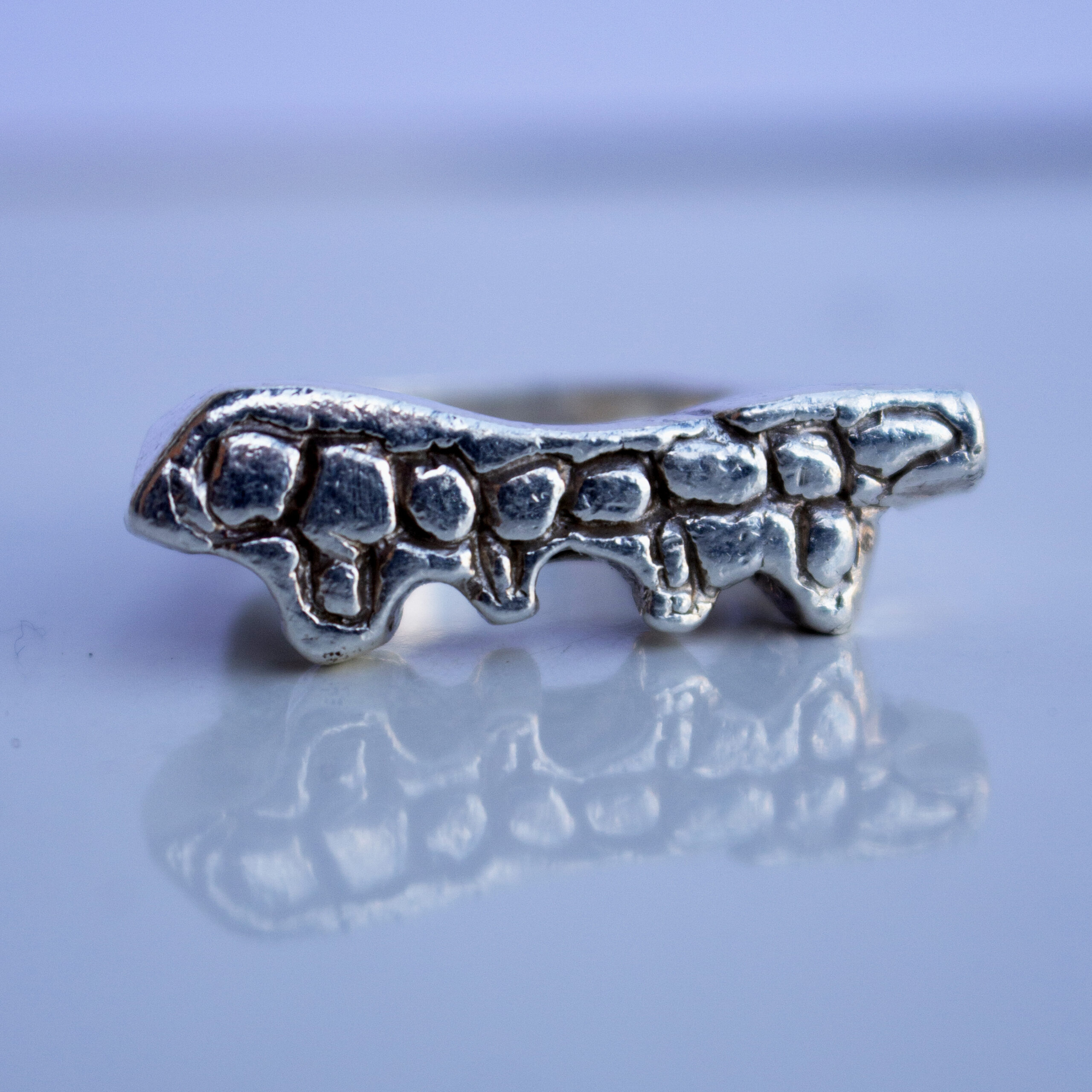 Vertebrae 7 ring